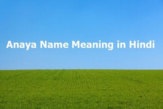 anaya-name-meaning-in-hindi