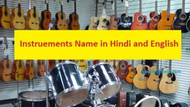 Photo of Musical Instrument Name in Hindi and English